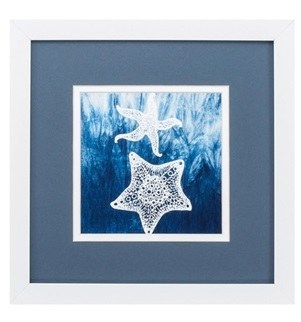 11" Square White Starfish in Water With Blue Mat and White Frame Under Glass