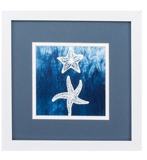 11" Square White Skinny Starfish in Water With Blue Mat and White Frame Under Glass