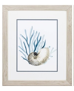 22" x 19" White Nautilus in Blue Seaweed in Wood Frame Under Glass