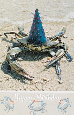 8" x 5" Party Crab Happy Birthday Card