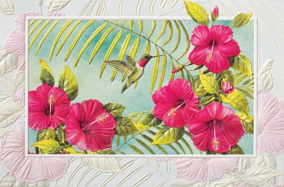 5" x 8" Hibiscus and Hummingbird Get Well Soon Card