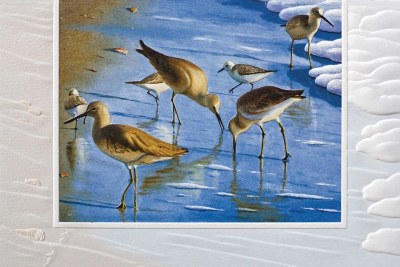 5" x 8" Sandpipers Thank You Card