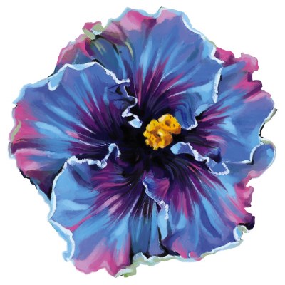 4" Blue and Purple Hibiscus Radiant Floral Screen Saver