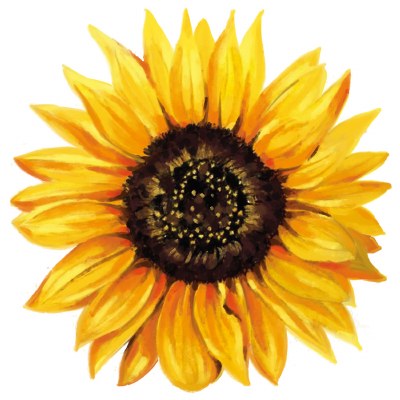 4" Yellow Sunflower Radiant Floral Screen Saver