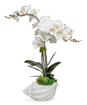 29" Faux Double White Orchid in White Ceramic Conch Shell