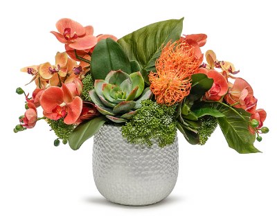 15" Faux Coral Orchid and Succulent Arrangement in Silver Ginny Pot