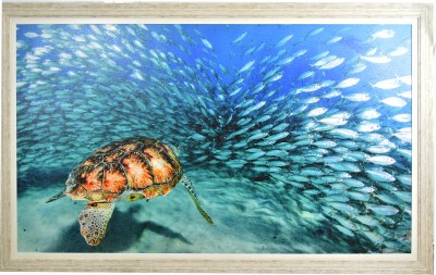 41" x 66" Turtle With Fish Gel Textured Coastal Print in Gray Frame