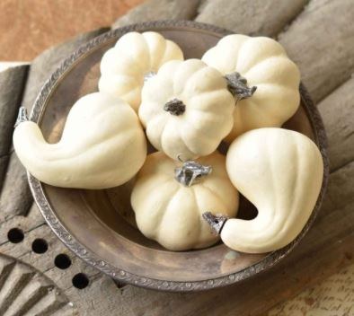 Set of 6 Cream Mini Pumpkins and Gourds Fall and Thanksgiving Decoration