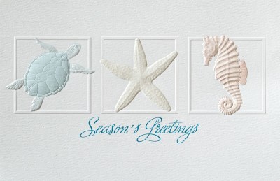 8.5" x 5.5" Box of 16 Coastal Trio Season's Greetings Cards