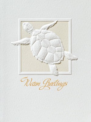 6" x 4" Box of 10 Embossed Turtle Warm Greetings Christmas Cards