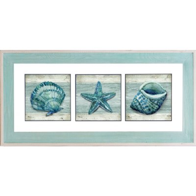 24" x 50" Triple Green and Blue Shells With White and Green Frame Under Glass
