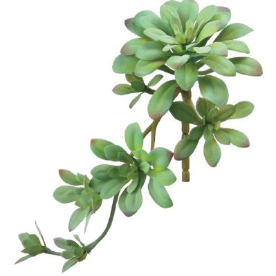 12" Faux Green Gray Soft Aeonium Succulent