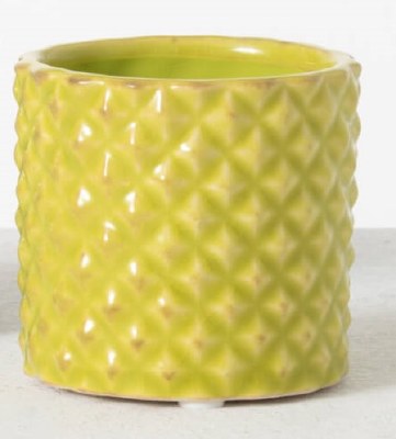 3" Lime Ceramic Textured Pot