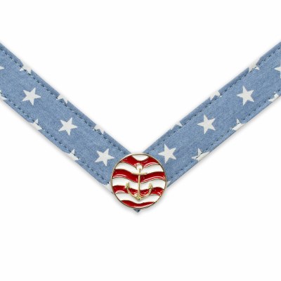 Medium Saylor Red White and Blue Anchor Strap