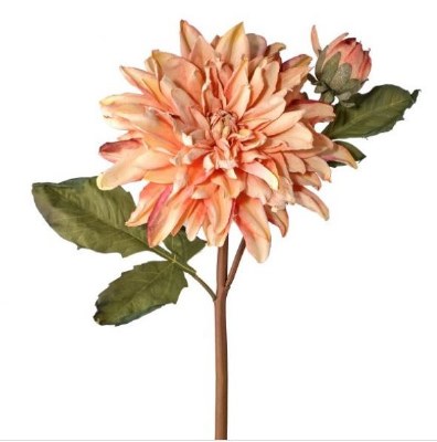 21" Faux Coral Just Dried Dahlia and Bud Spray