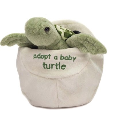 8" "Adopt A Baby Turlte" Plush Toy