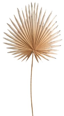 30" Faux Beige Palmetto Leaf Spray