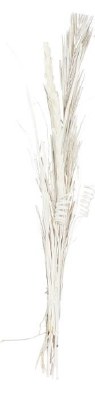56" Whitewashed Dried Grass Stalk Bouquet