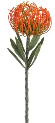 14" Faux Orange Pin Cushion Protea Spray