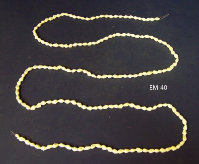 6' White Nassa Shell Garland