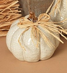 5" Distressed White Ceramic Short Pumpkin Fall and Thanksgiving Decoration