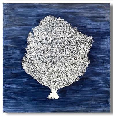 20" Square Solid White Coral on Navy Brush Background Canvas Wall Art