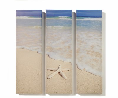 Set of 3 24" x 7" Starfish Beach Canvas Wall Art