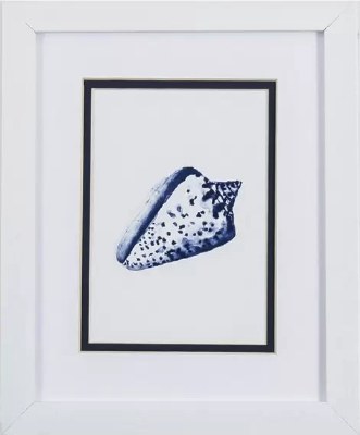 11" x 9" Navy Cone Shell in White Frame Under Glass