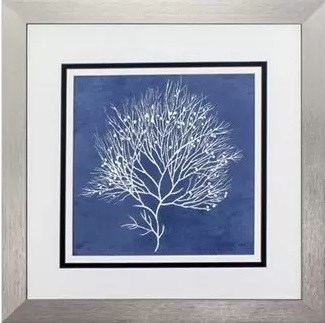 21" Square White Coral on Navy Background in Gray Frame Under Glass