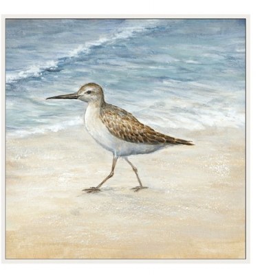 16" Square Sandpiper Canvas Wall Art With Wood Frame