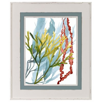 38" x 32" Seaweed Flow I Art Print With Distressed White Shiplap Wood Frame Under Glass