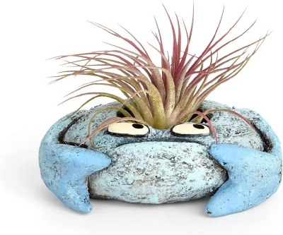 5" Blue Krusty the Crab Planter