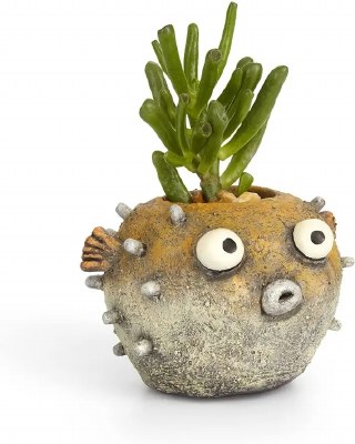 4" Tan Hootie the Blow Fish Planter