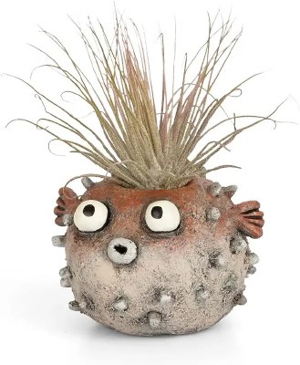 4" Beige Sushi the Blow Fish Planter