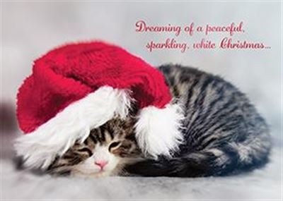Sleepy Santa Kitty Christmas Card