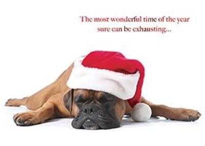 Sleepy Santa Puppy Christmas Card