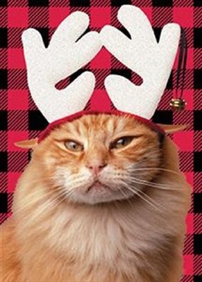 Reindeer Cat Christmas Card