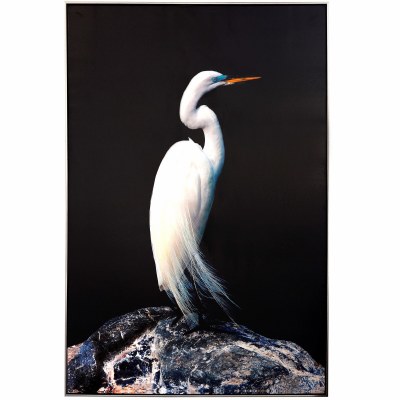 60" x 40" White Egret on Black Canvas Wall Art in Frame