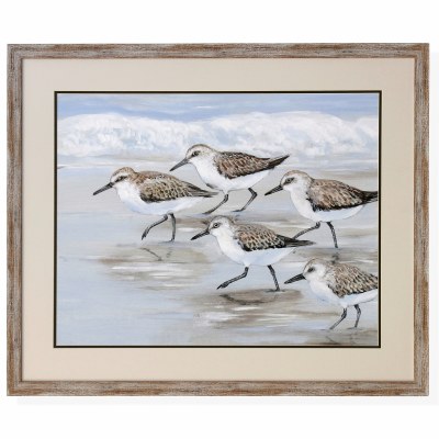 30" x 36" Five Sandpipers Framed Art Print Under Glass