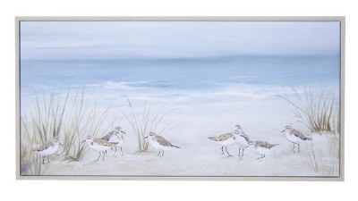 28" x 55" Sandpiper Beach Canvas With Frame