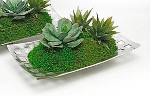7" x 16" Faux Green Succulents in Silver Lattice Tray