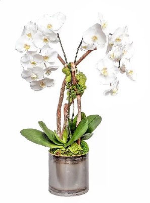 35" Faux Double White Orchid Branches in Silver Tin Pot