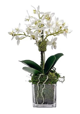 13" Faux Mini White Orchid in Glass Pot