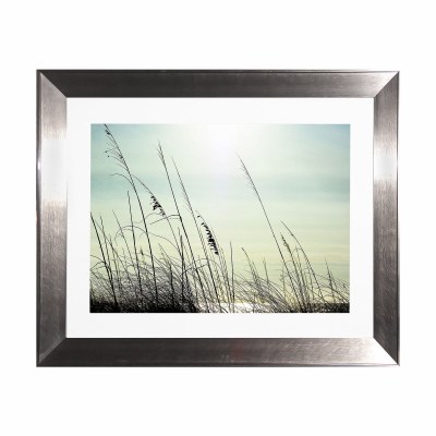 36" x 46" Sea Oat Photo Under Glass With Silver Frame