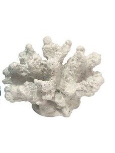 5" White Polyresin Faux Coral Decor