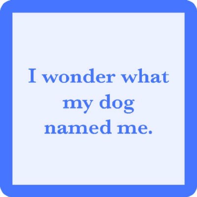 4" Square Light Blue With Blue Border I Wonder What My Dog Named Me Coaster