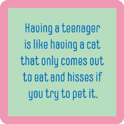 4" Square Mint With Pink Border Having a Teenager Is Like Having a Cat Coaster