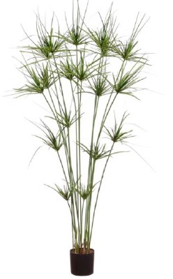 63" Faux Green Cyperus Papyrus Plant in Black Plastic Pot