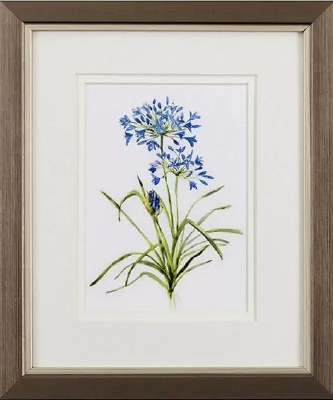 11" x 9" Blue Allium in Brown Frame Under Glass