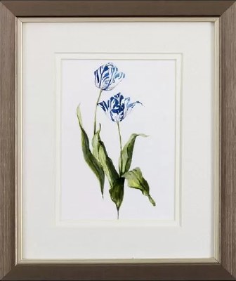11" x 9" Blue Tulip in Brown Frame Under Glass